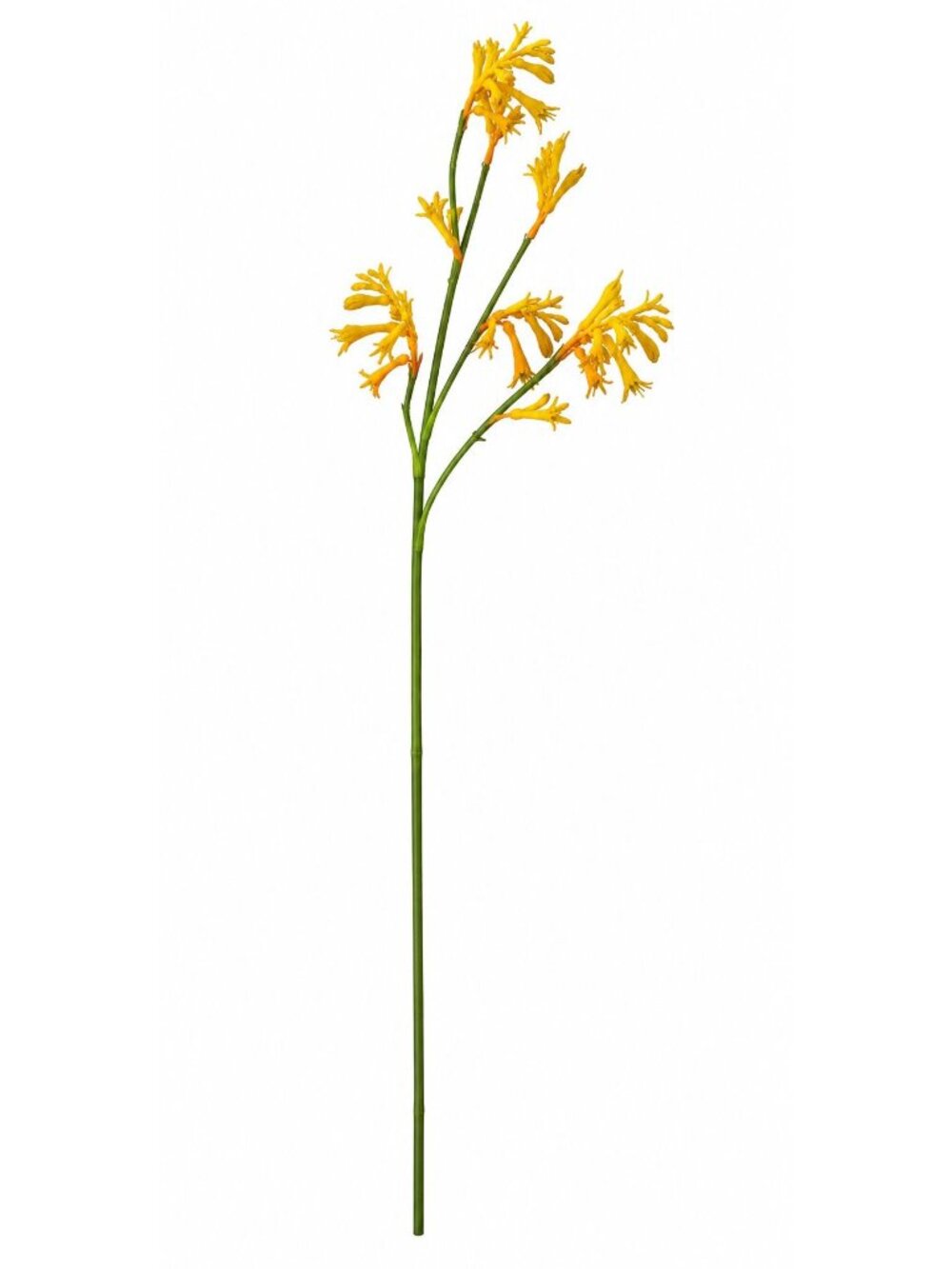 Artificial Kangaroo Paw Flower Stem 24 Inch Yellow Orange Real Touch Australian